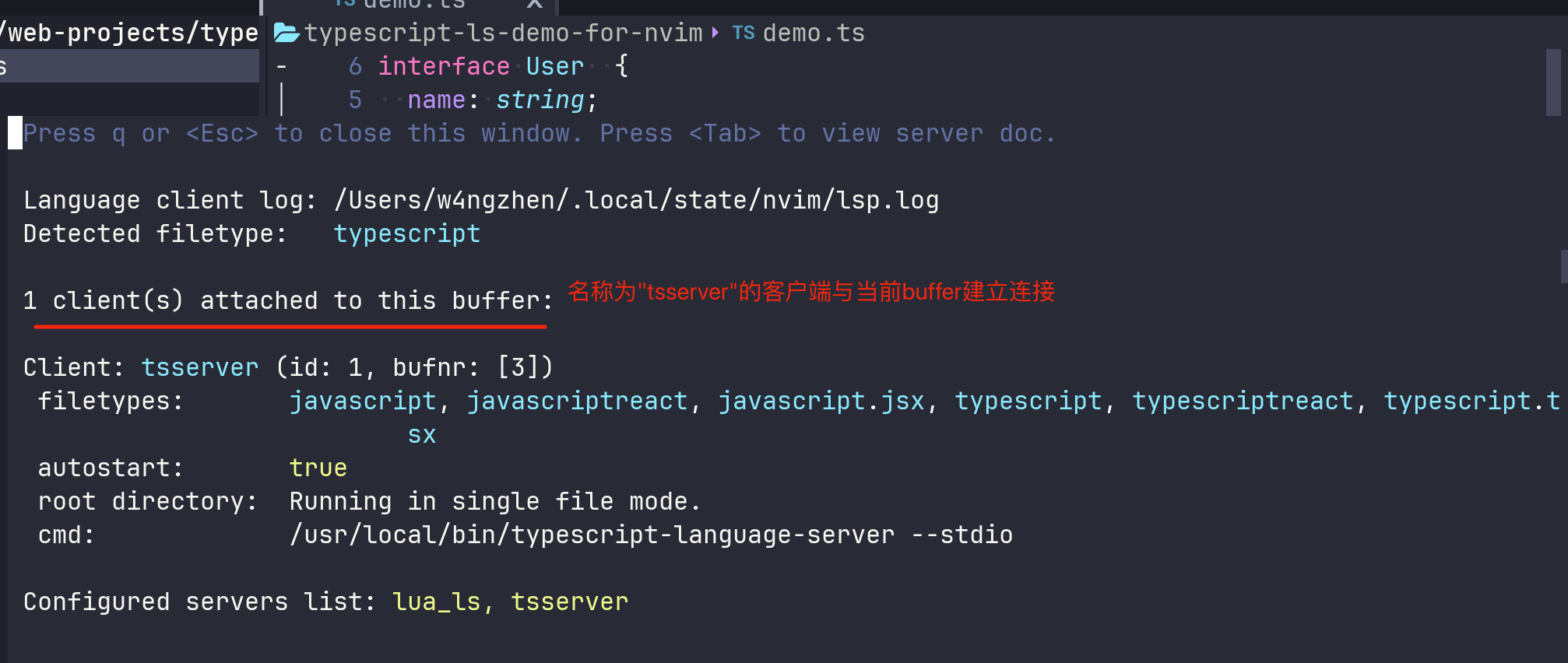 070-ts-ls-attach-to-demo